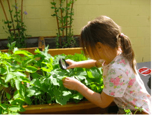 school science workshops biology 